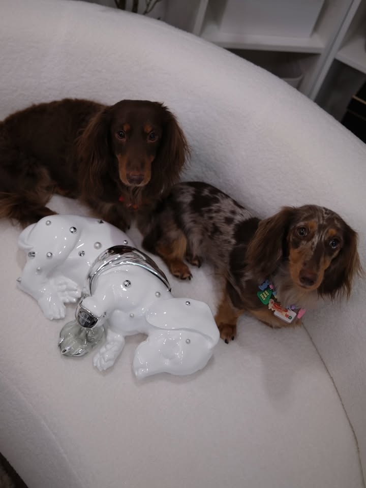 โมเม - นภัสสร บุรณศิริ