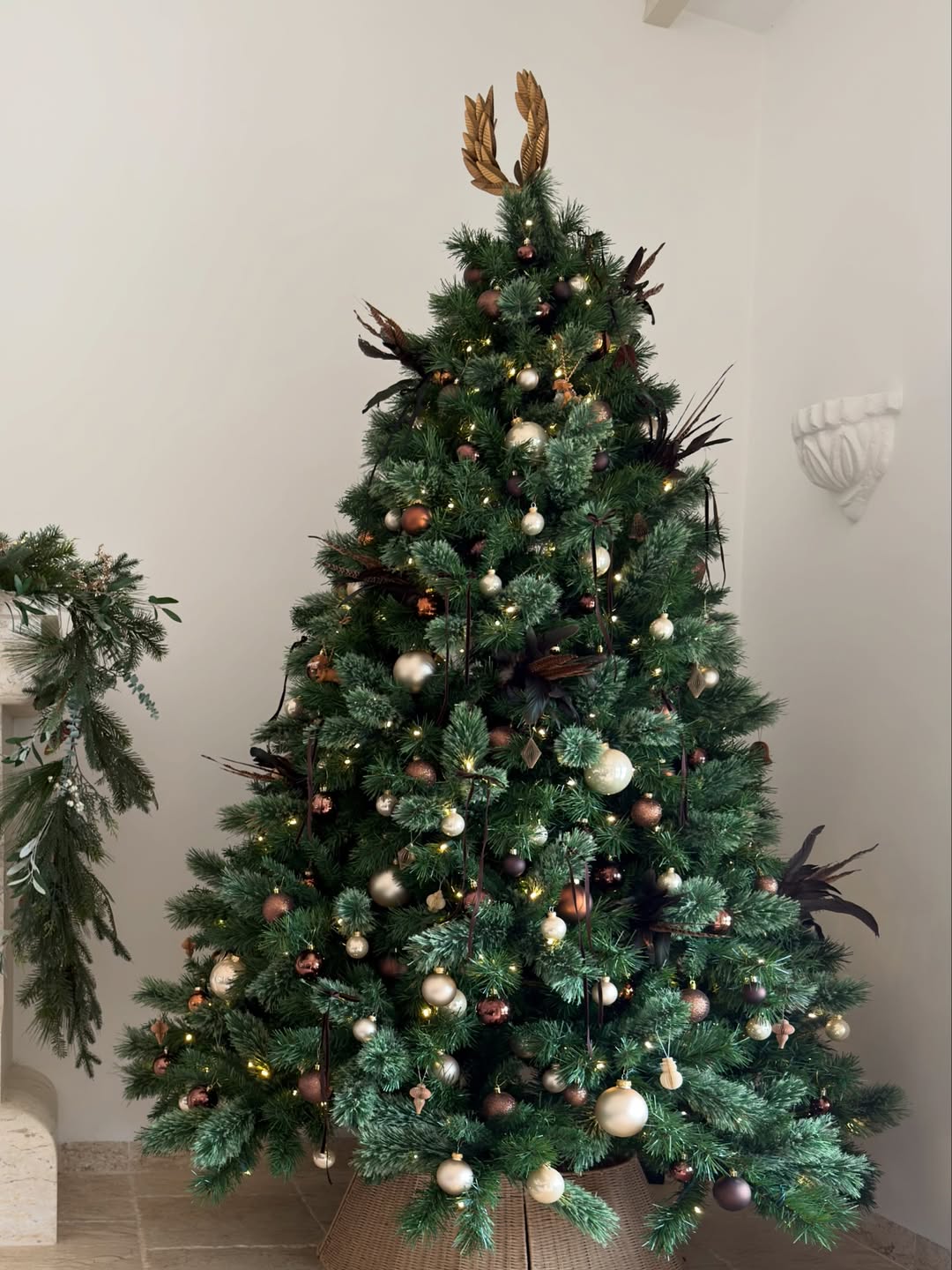 โมเม - นภัสสร บุรณศิริ