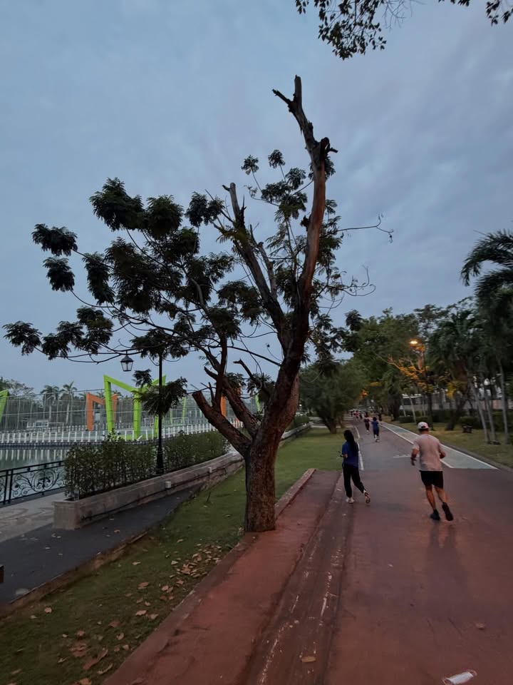 แจ็ค - เฉลิมพล ทิฆัมพรธีระวงศ์