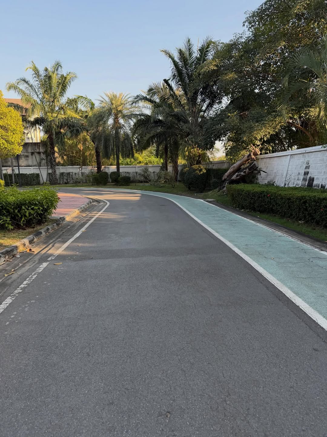 แจ็ค - เฉลิมพล ทิฆัมพรธีระวงศ์