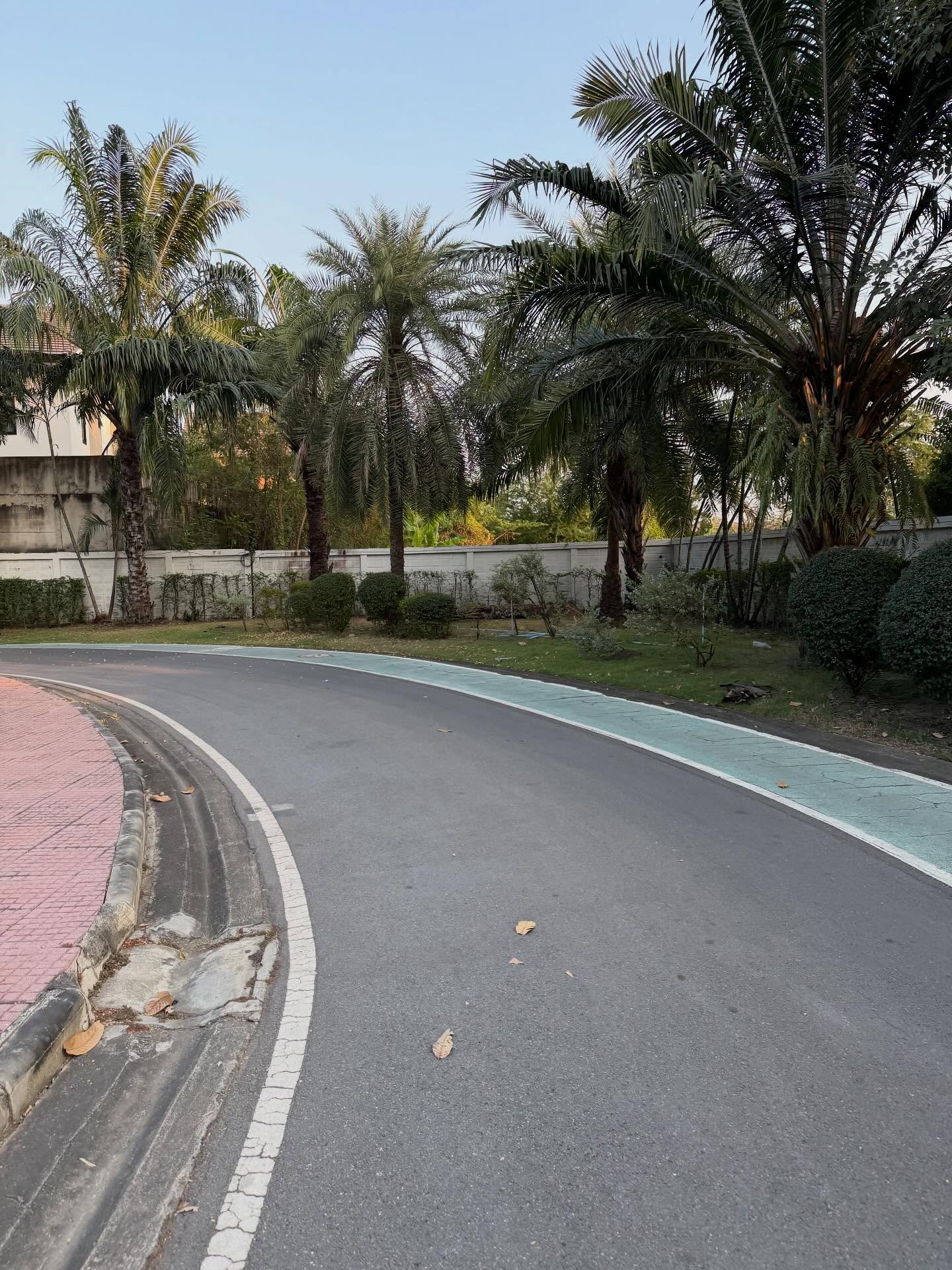 แจ็ค - เฉลิมพล ทิฆัมพรธีระวงศ์