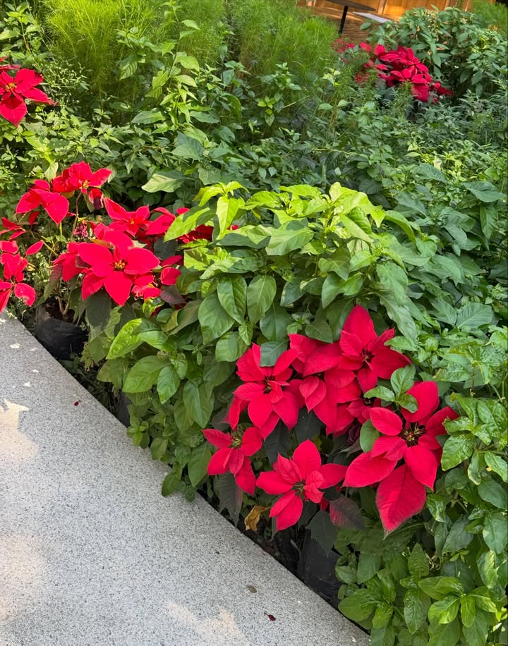 พรีม - รณิดา เตชสิทธิ์