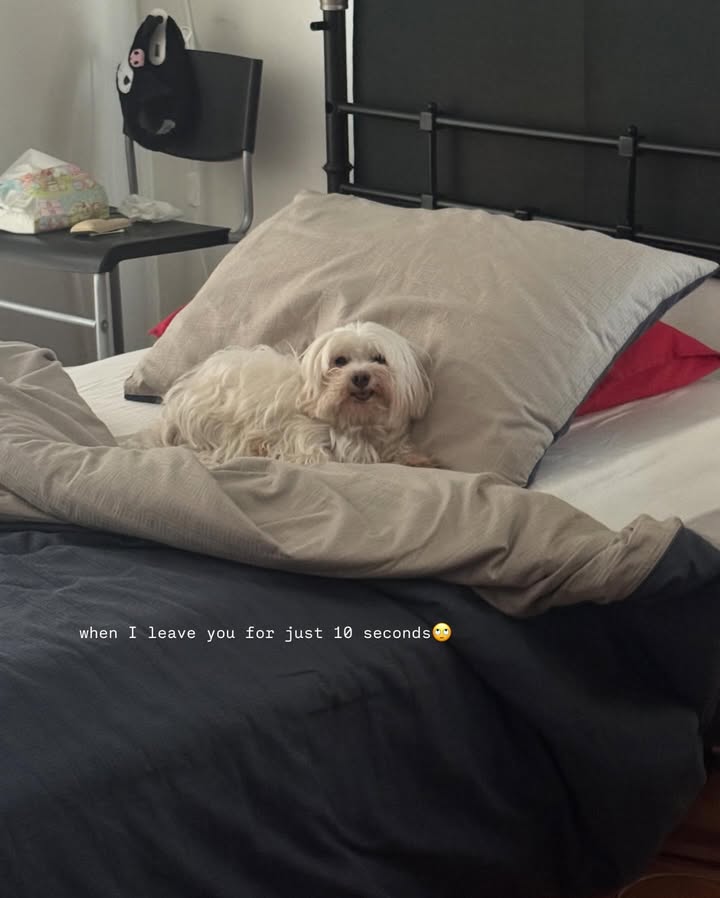 พรีม - รณิดา เตชสิทธิ์