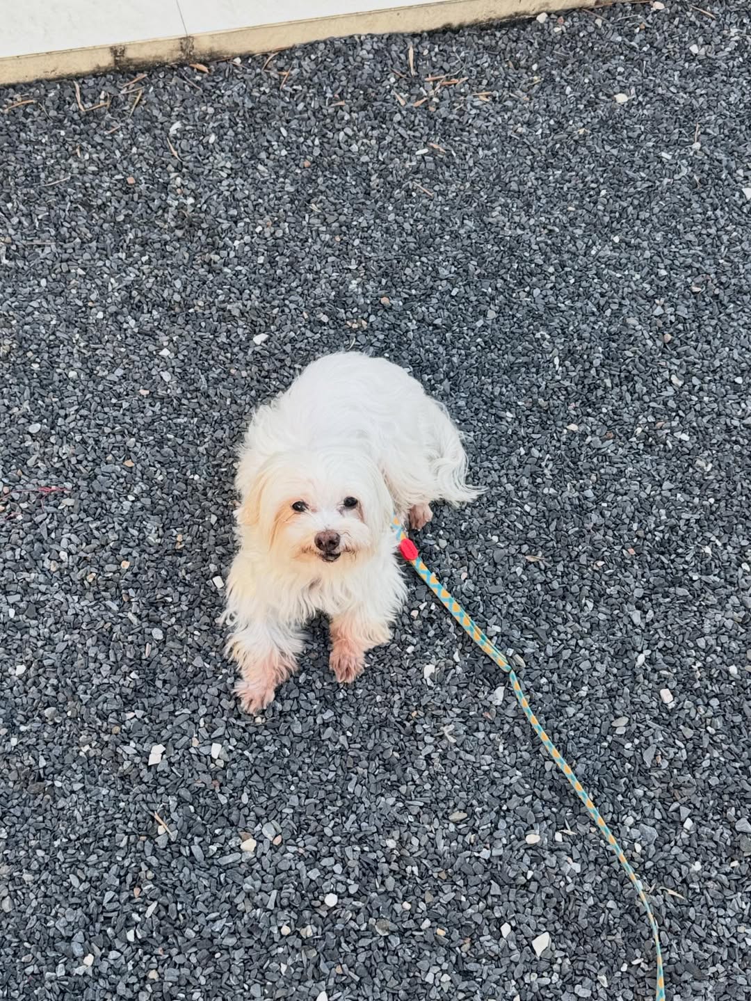 พรีม - รณิดา เตชสิทธิ์