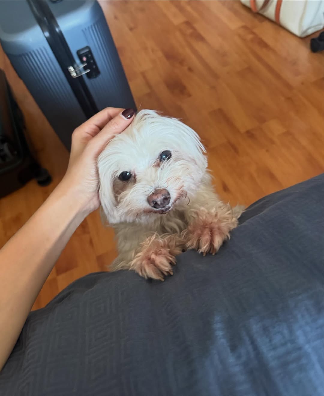 พรีม - รณิดา เตชสิทธิ์