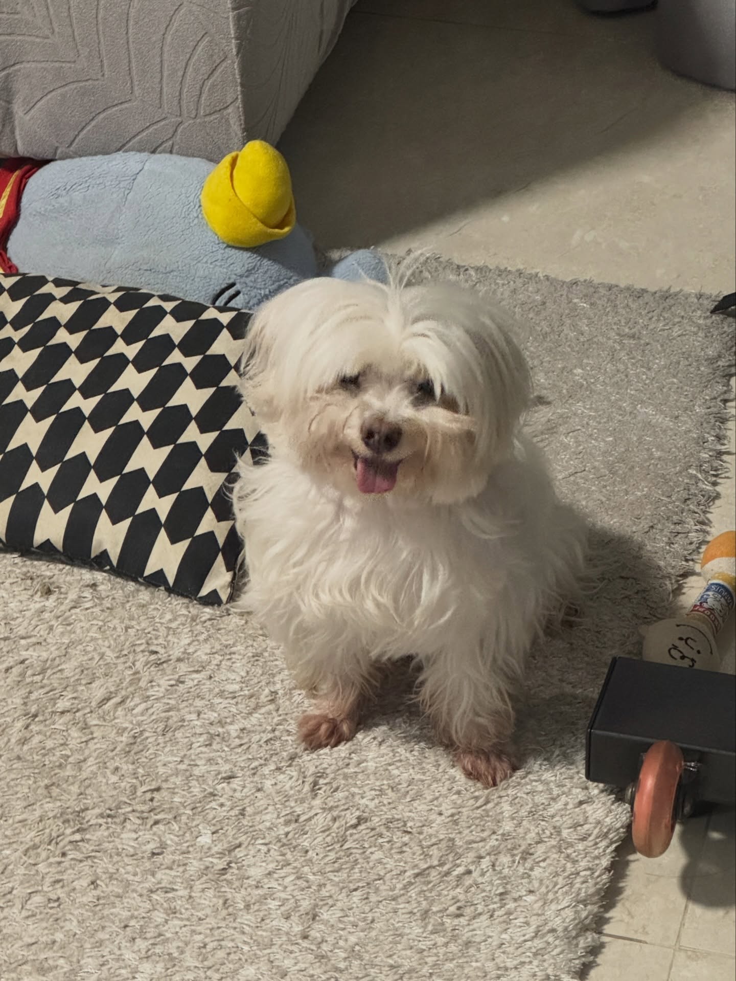 พรีม - รณิดา เตชสิทธิ์