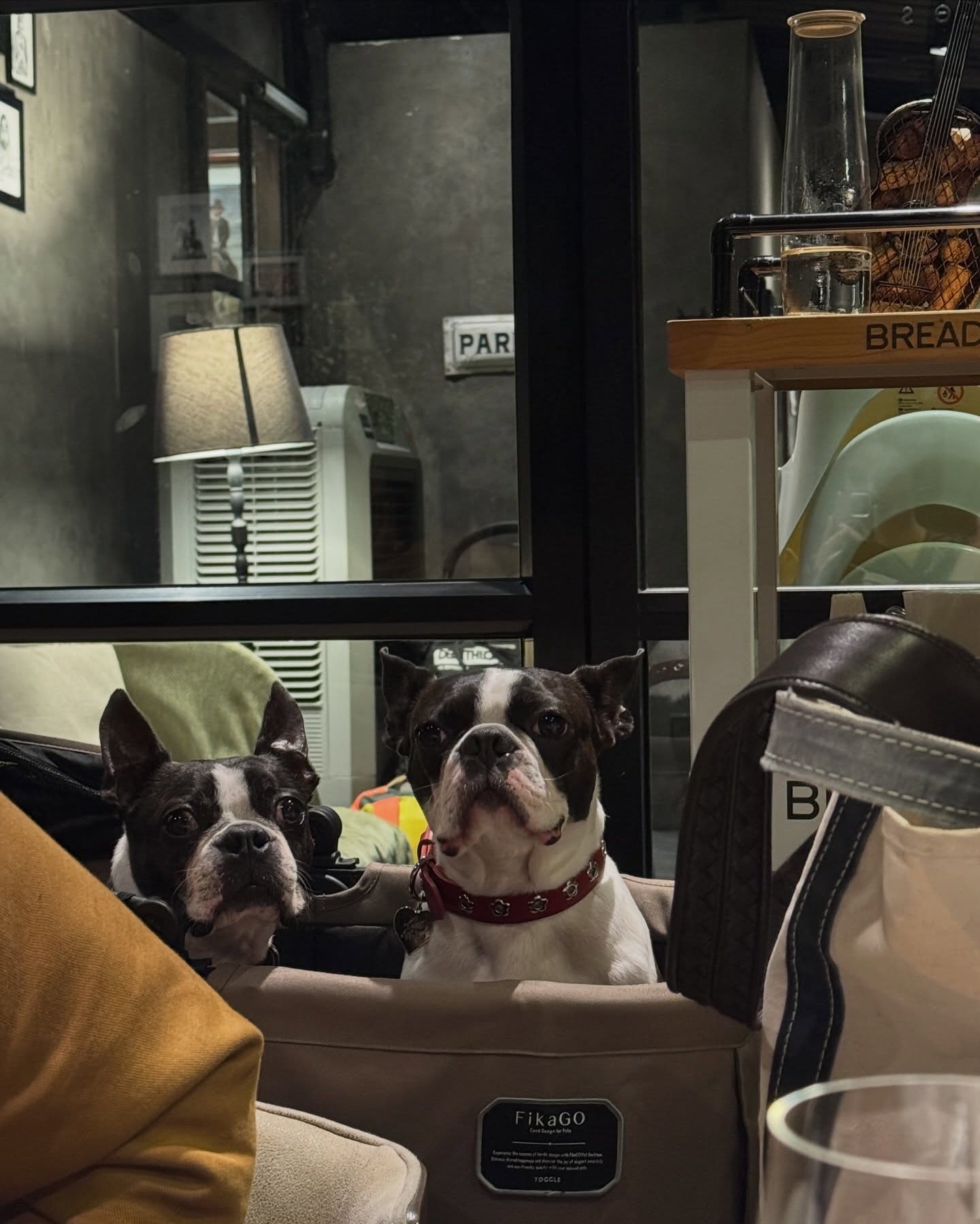 พรีม - รณิดา เตชสิทธิ์