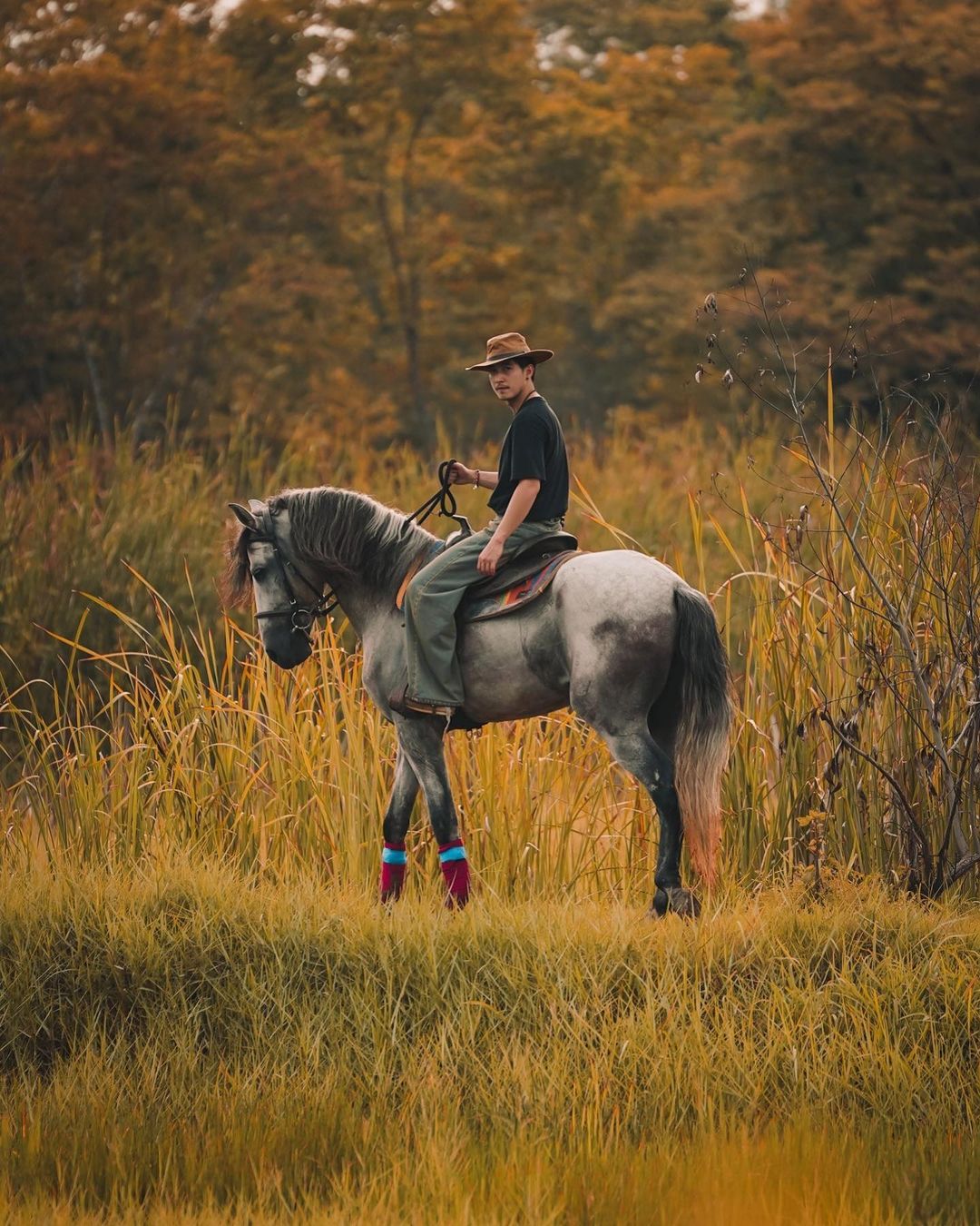 โตโน่ - ภาคิน คำวิลัยศักดิ์