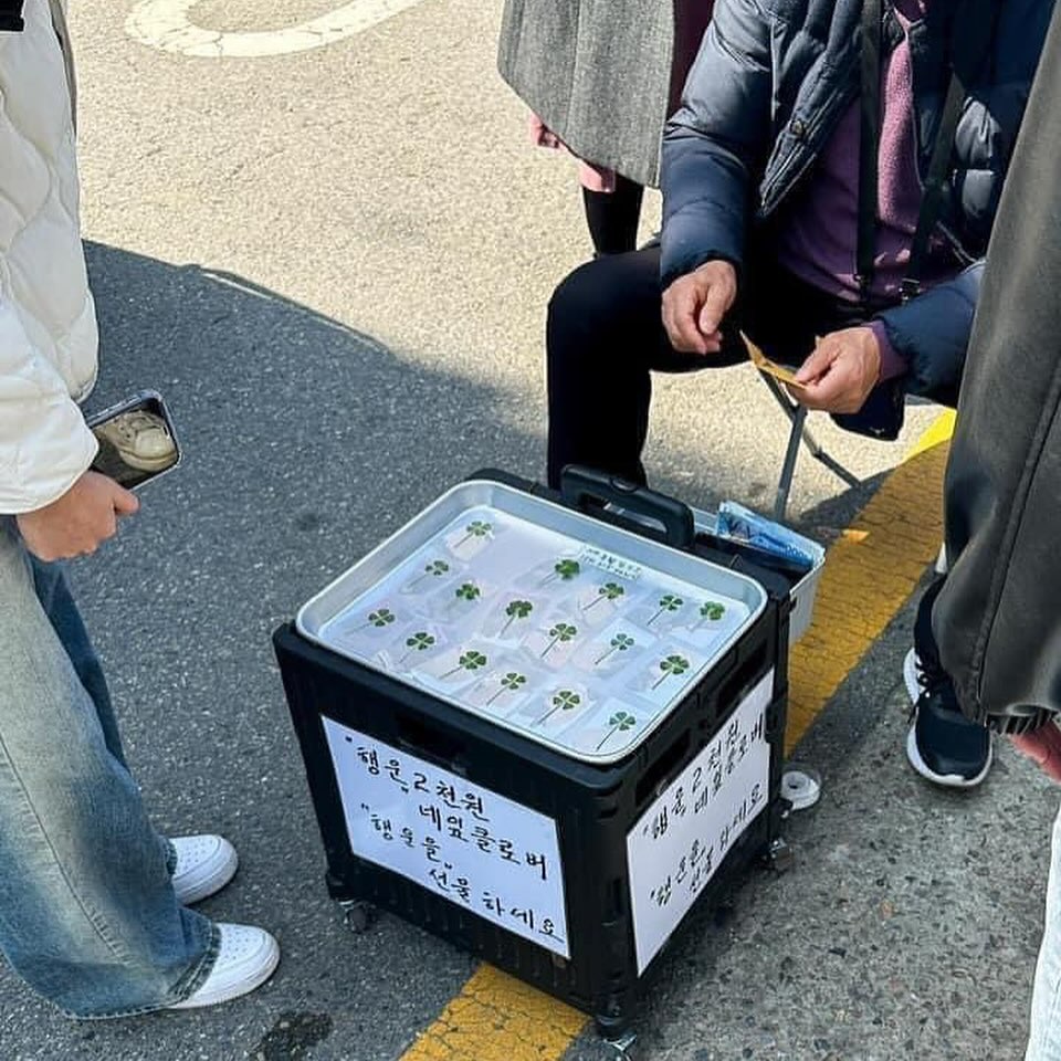 ซาร่า คาซิงกีนี