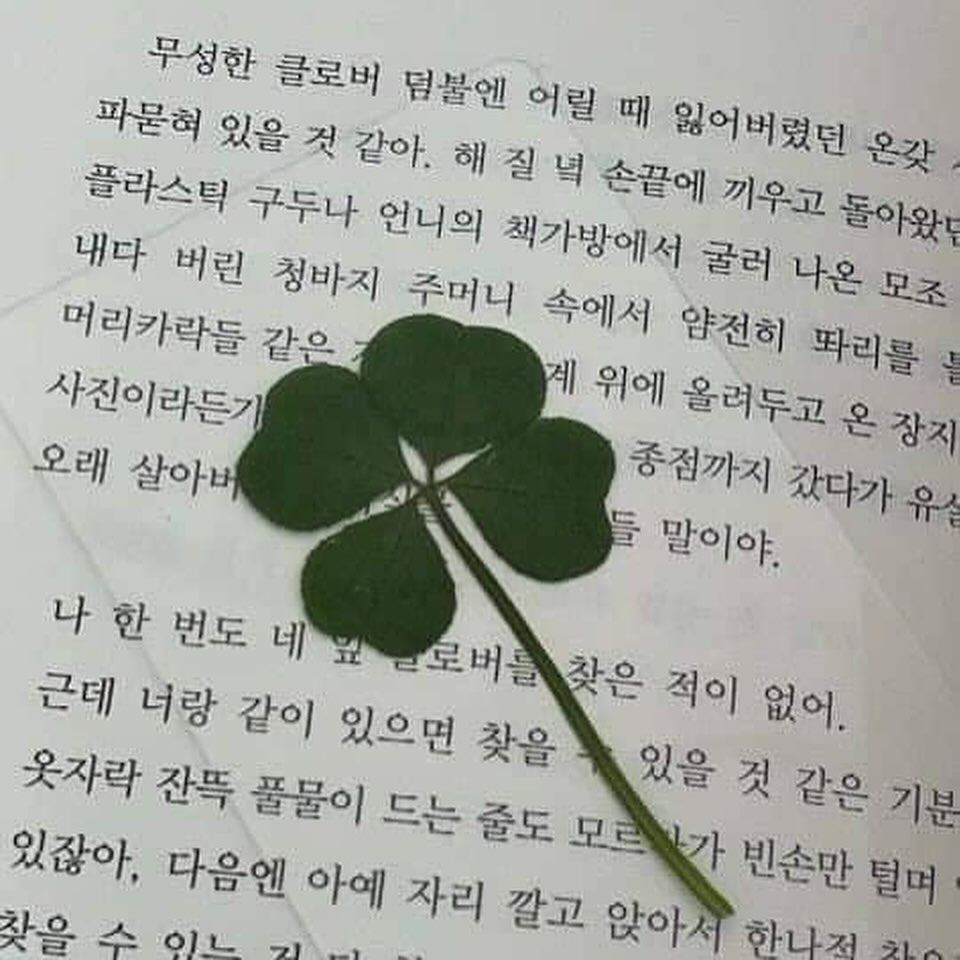 ซาร่า คาซิงกีนี