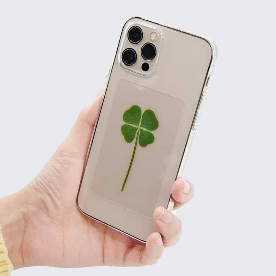 ซาร่า คาซิงกีนี