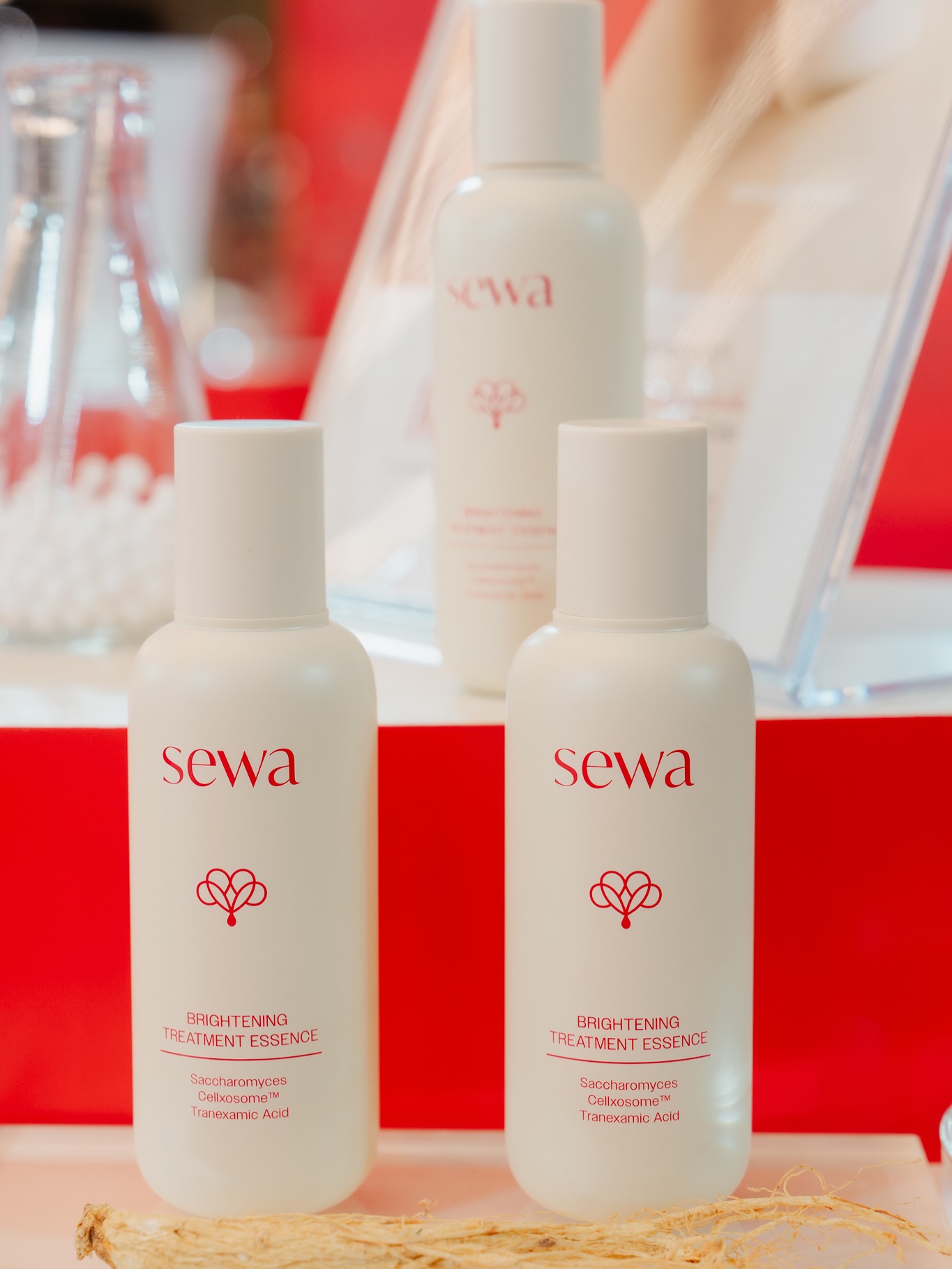 ซาร่า คาซิงกีนี