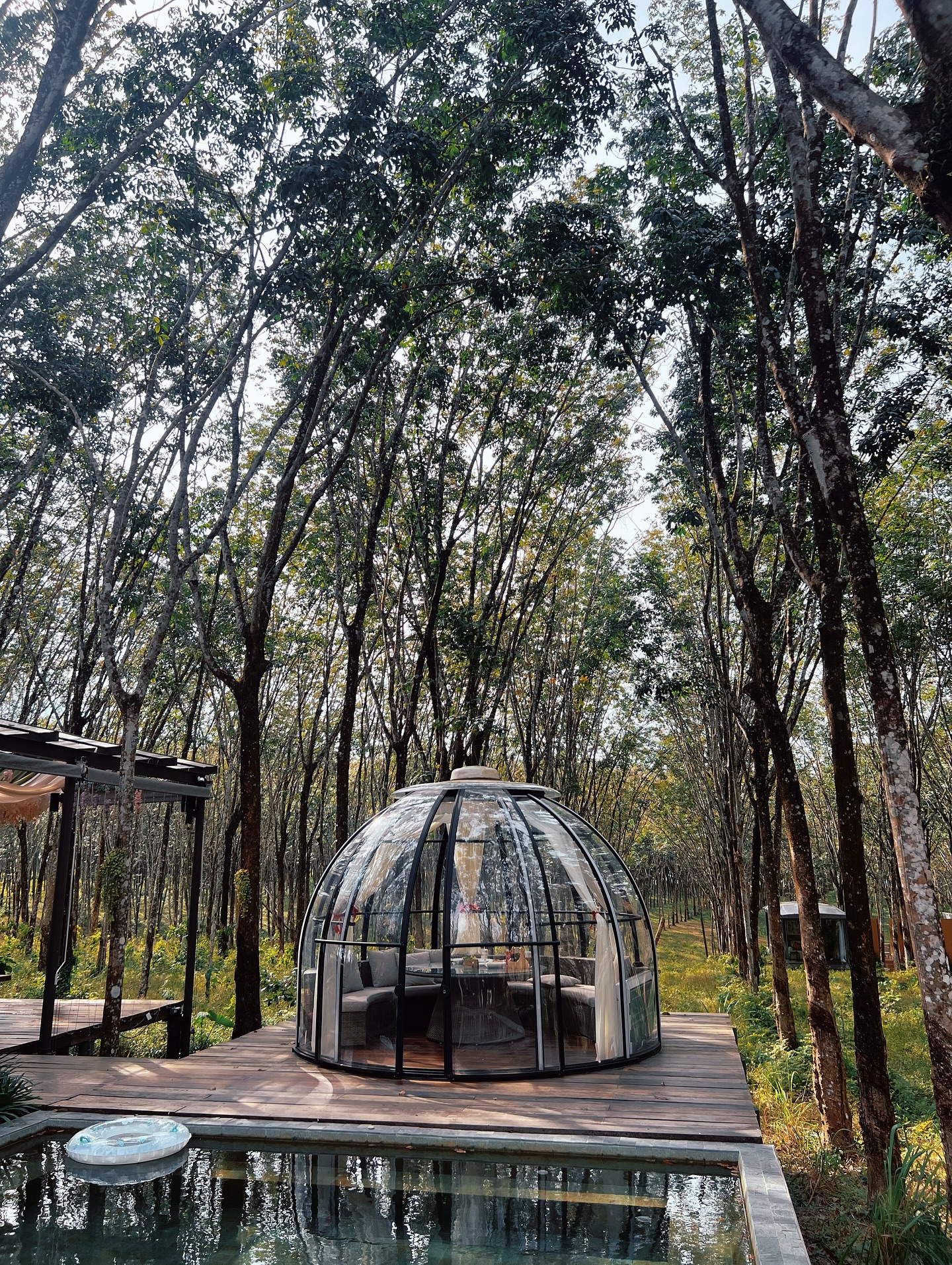 ซาร่า คาซิงกีนี