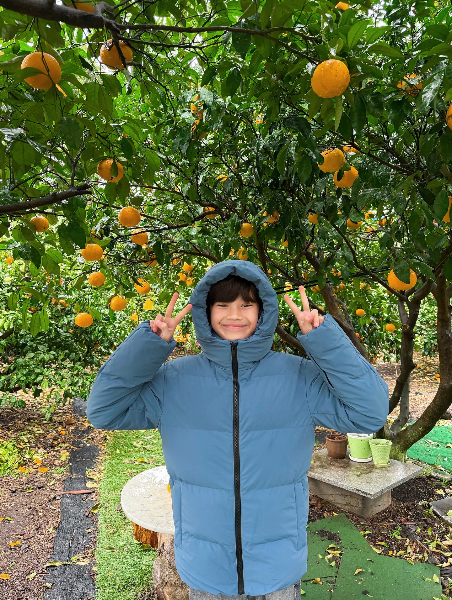 ซาร่า คาซิงกีนี