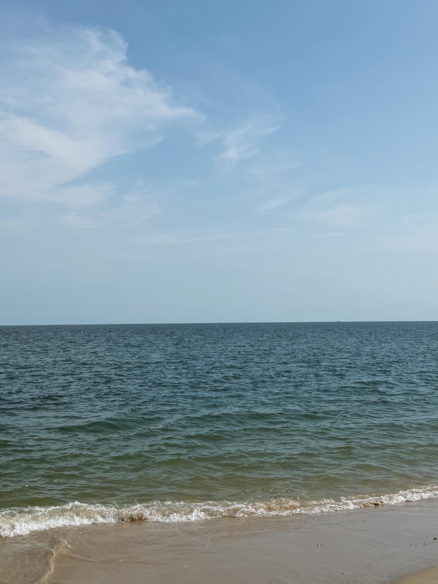 นัท - ศุภณัฐ เลาหะพานิช