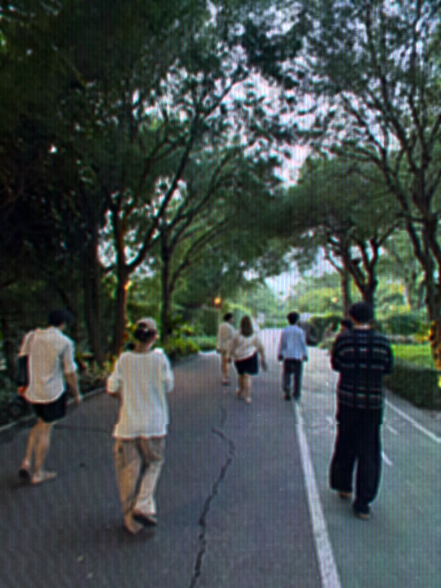 นัท - ศุภณัฐ เลาหะพานิช