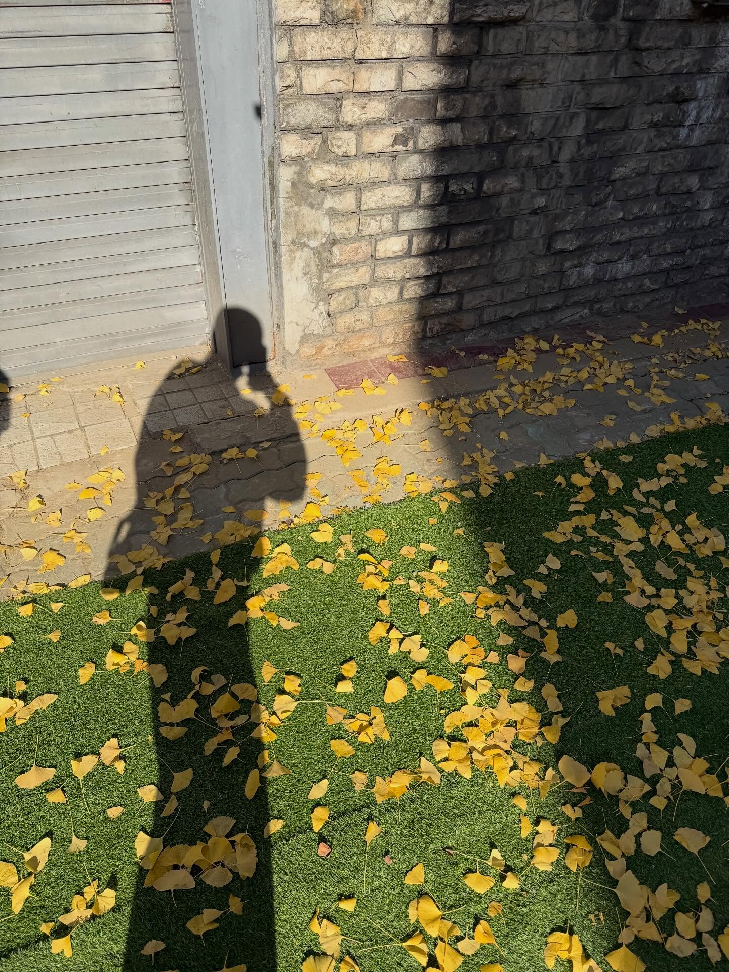 นัท - ศุภณัฐ เลาหะพานิช