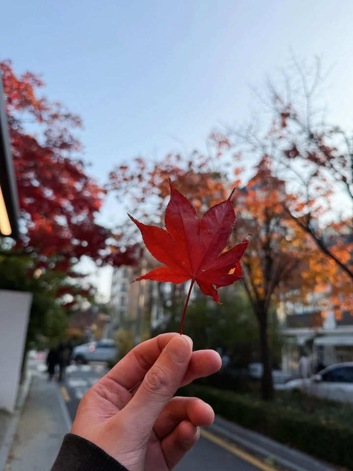 นัท - ศุภณัฐ เลาหะพานิช