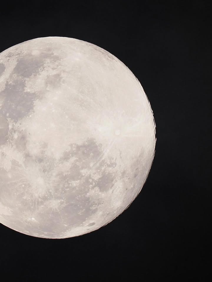 นัท - ศุภณัฐ เลาหะพานิช