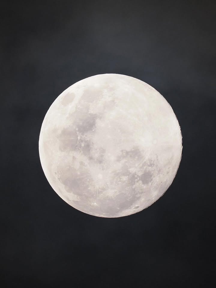 นัท - ศุภณัฐ เลาหะพานิช