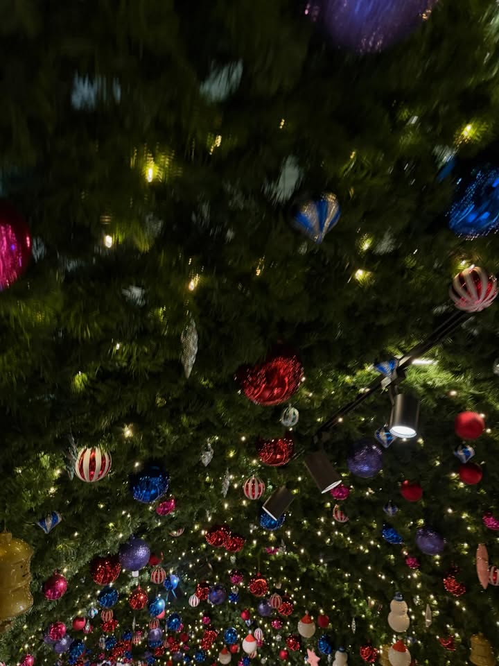 นัท - ศุภณัฐ เลาหะพานิช