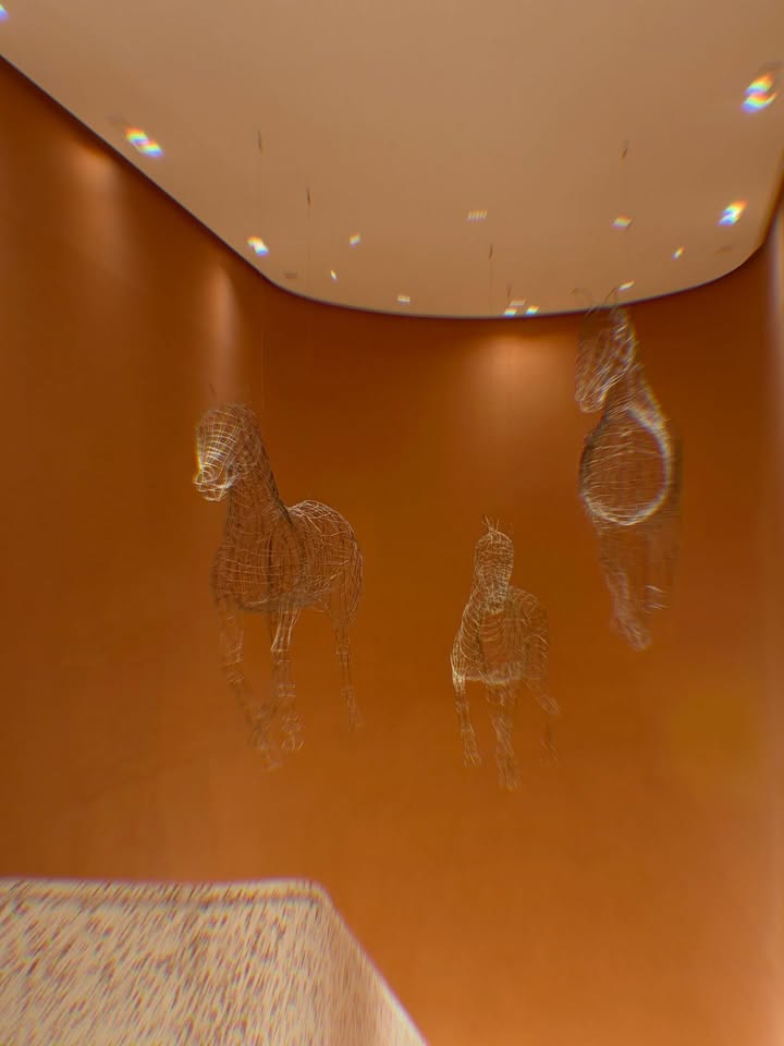 นัท - ศุภณัฐ เลาหะพานิช