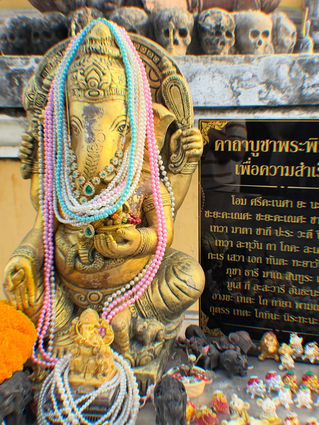 นัท - ศุภณัฐ เลาหะพานิช