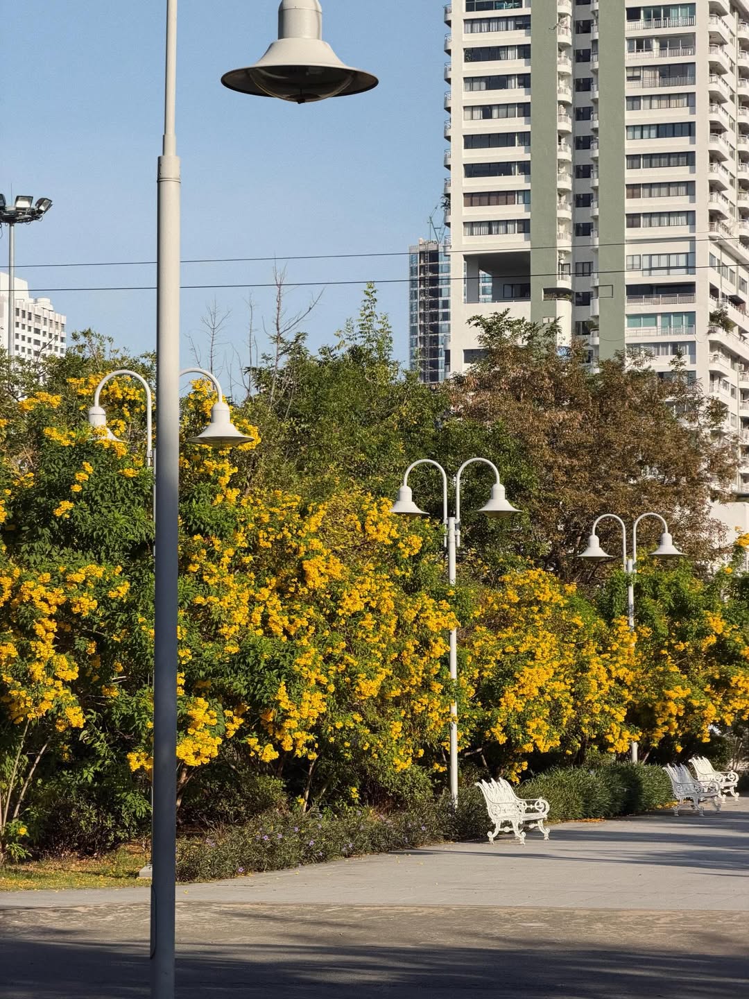 นัท - ศุภณัฐ เลาหะพานิช