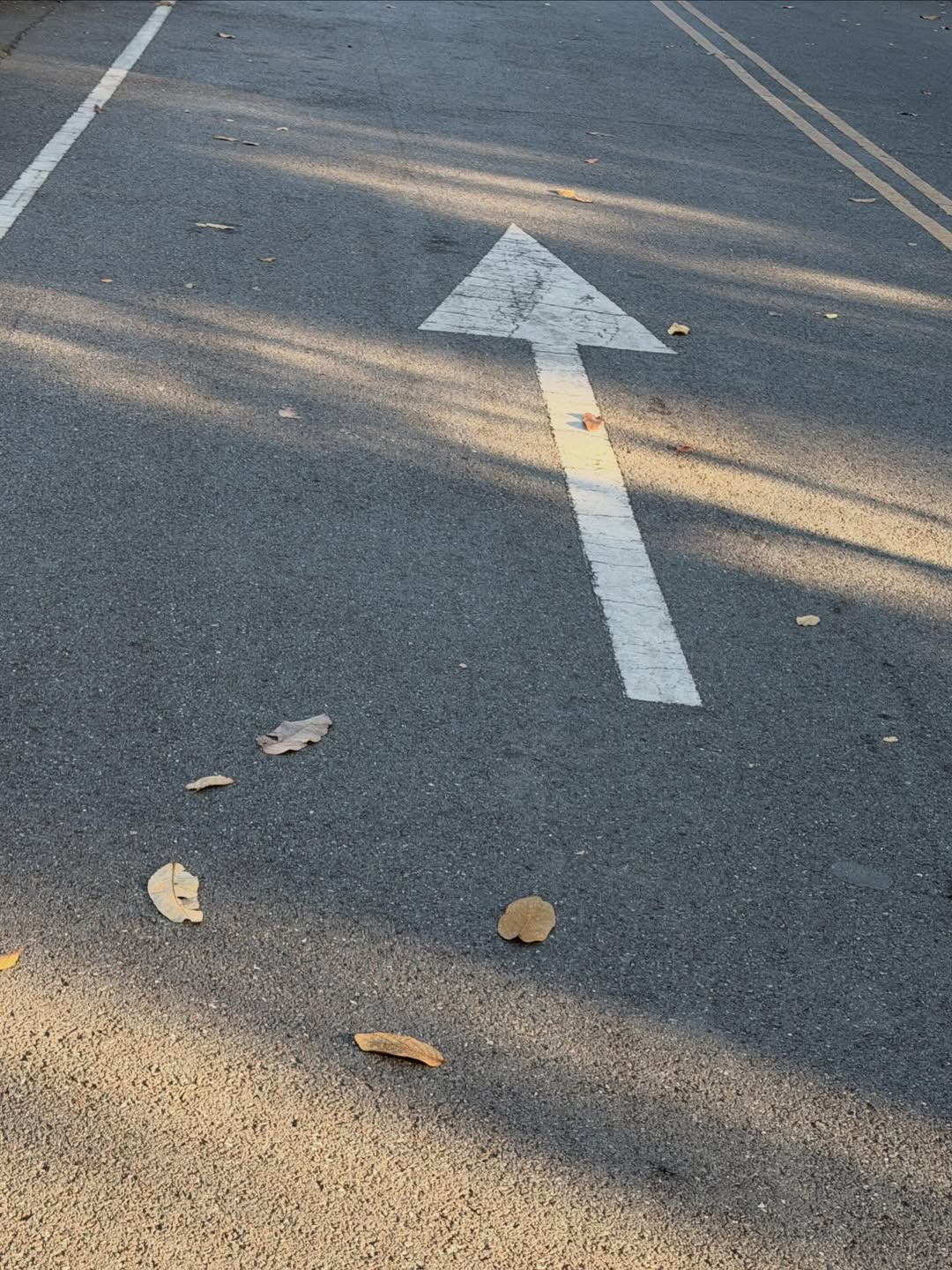 นัท - ศุภณัฐ เลาหะพานิช