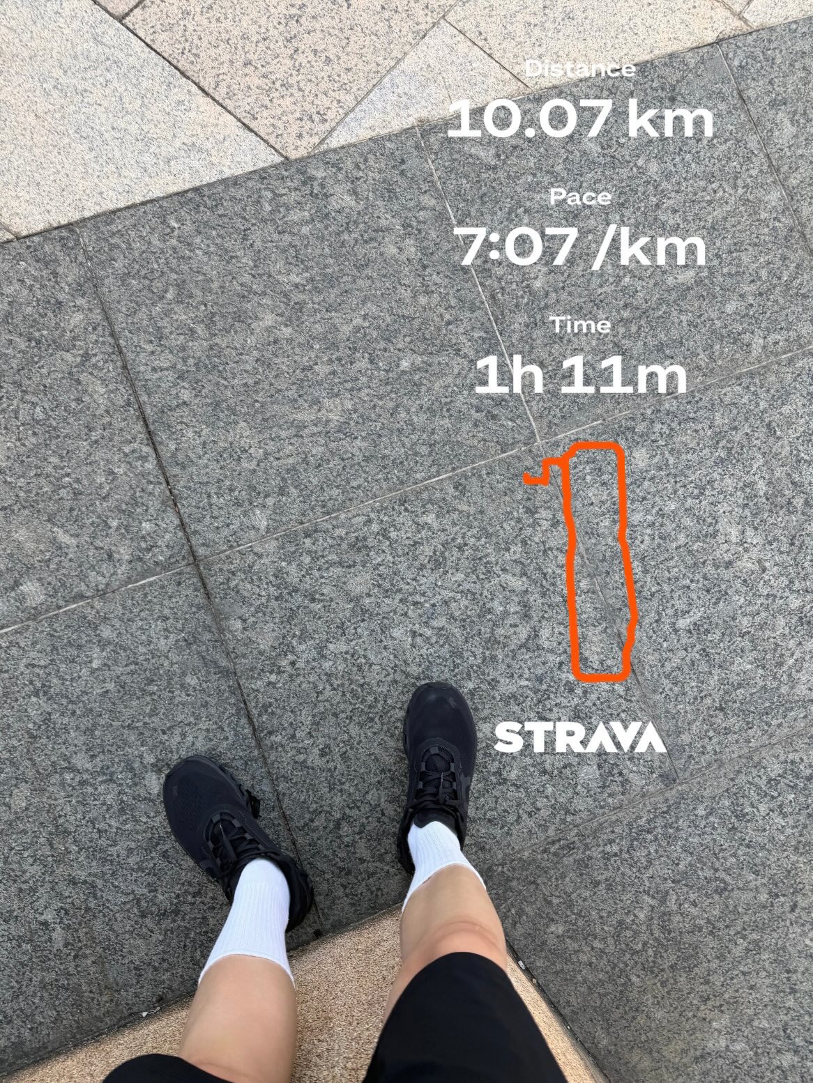 นัท - ศุภณัฐ เลาหะพานิช