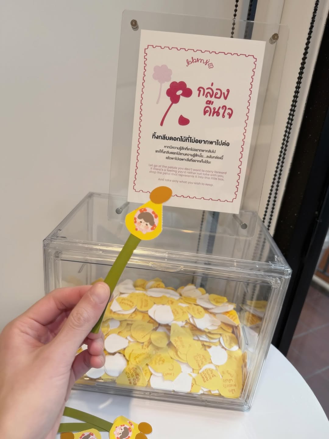 นัท - ศุภณัฐ เลาหะพานิช