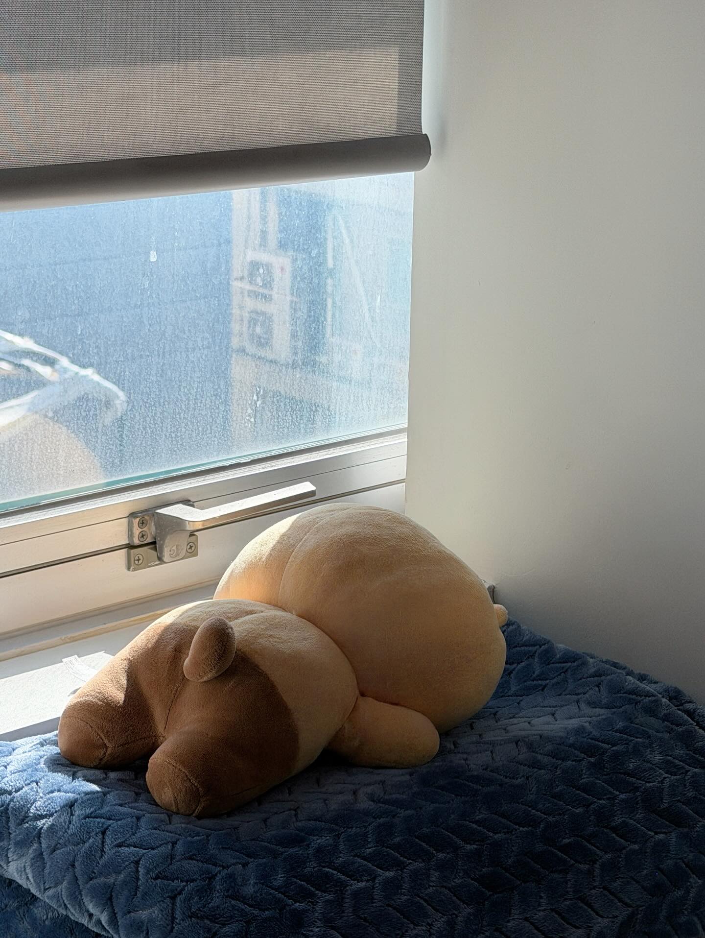 นัท - ศุภณัฐ เลาหะพานิช