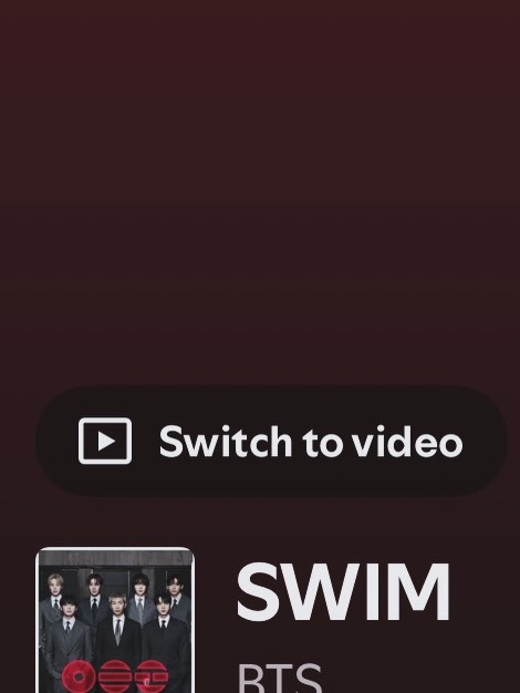 นัท - ศุภณัฐ เลาหะพานิช