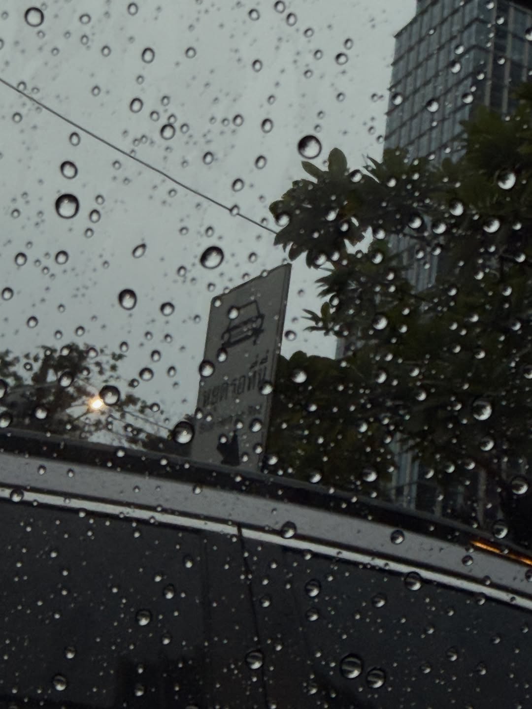 นัท - ศุภณัฐ เลาหะพานิช