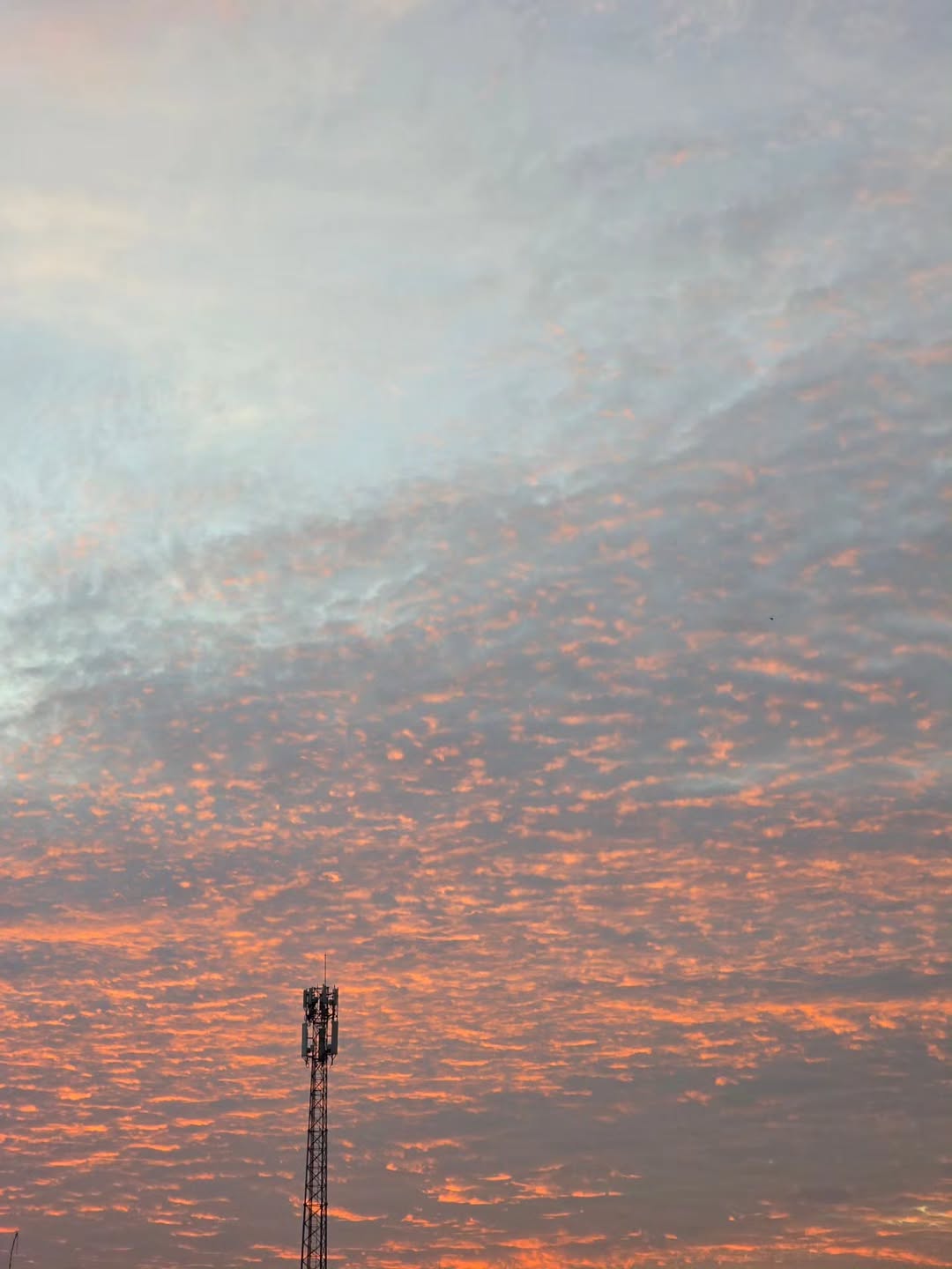 นนท์ - ธนนท์ จำเริญ