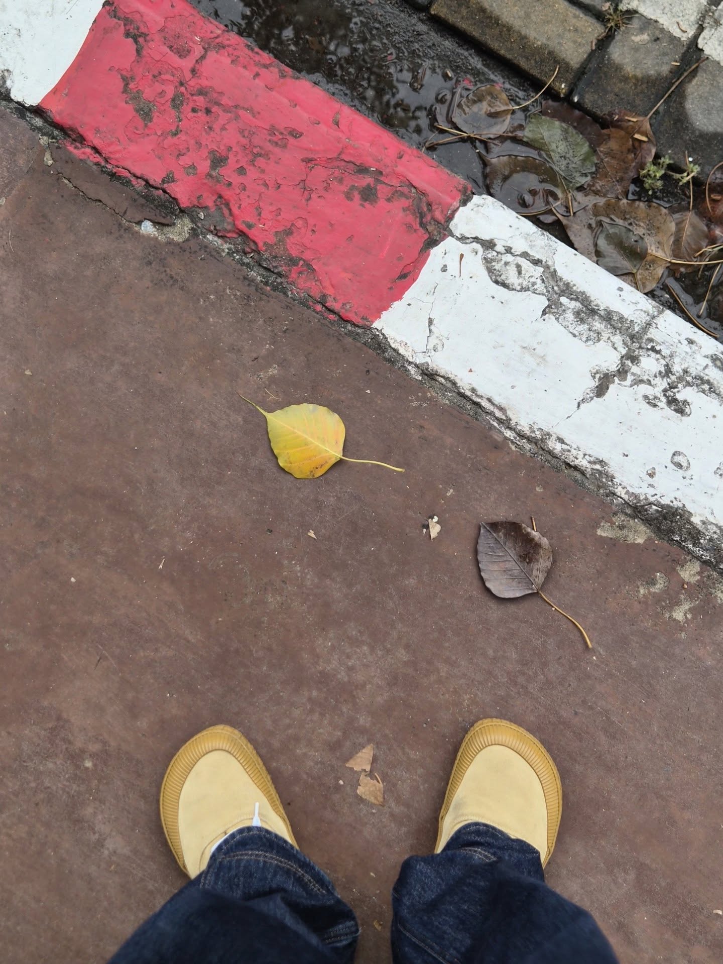 นิว - ฐิติภูมิ เตชะอภัยคุณ