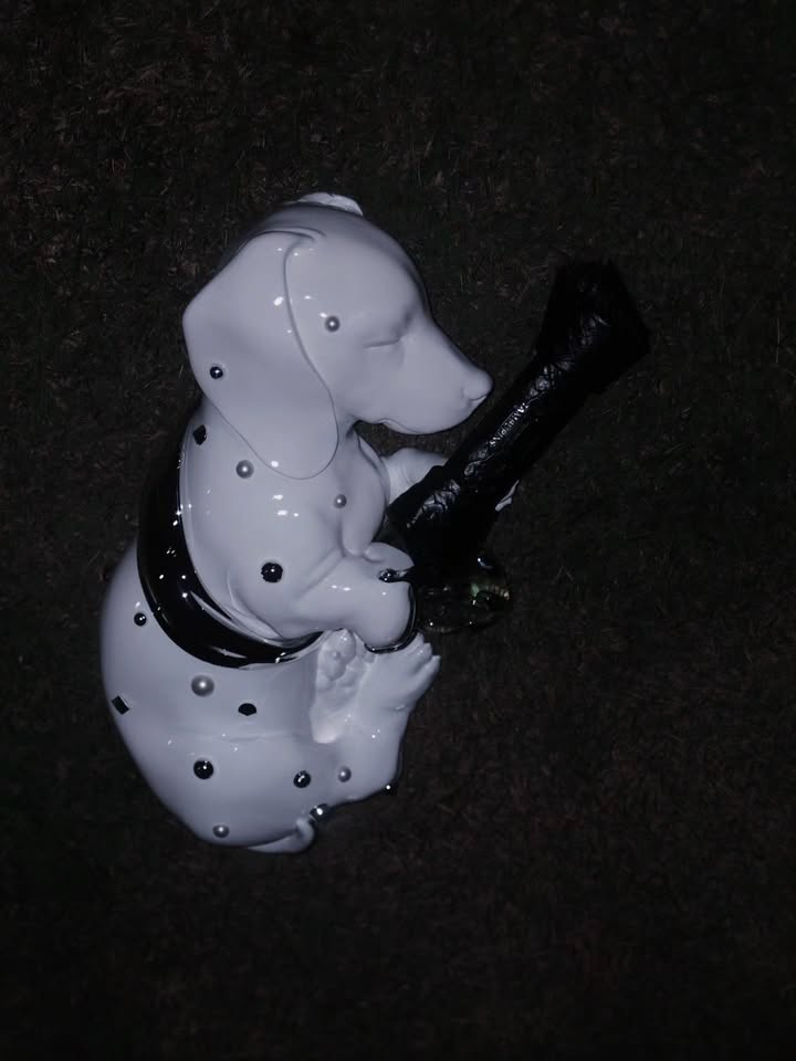 นิว - ฐิติภูมิ เตชะอภัยคุณ