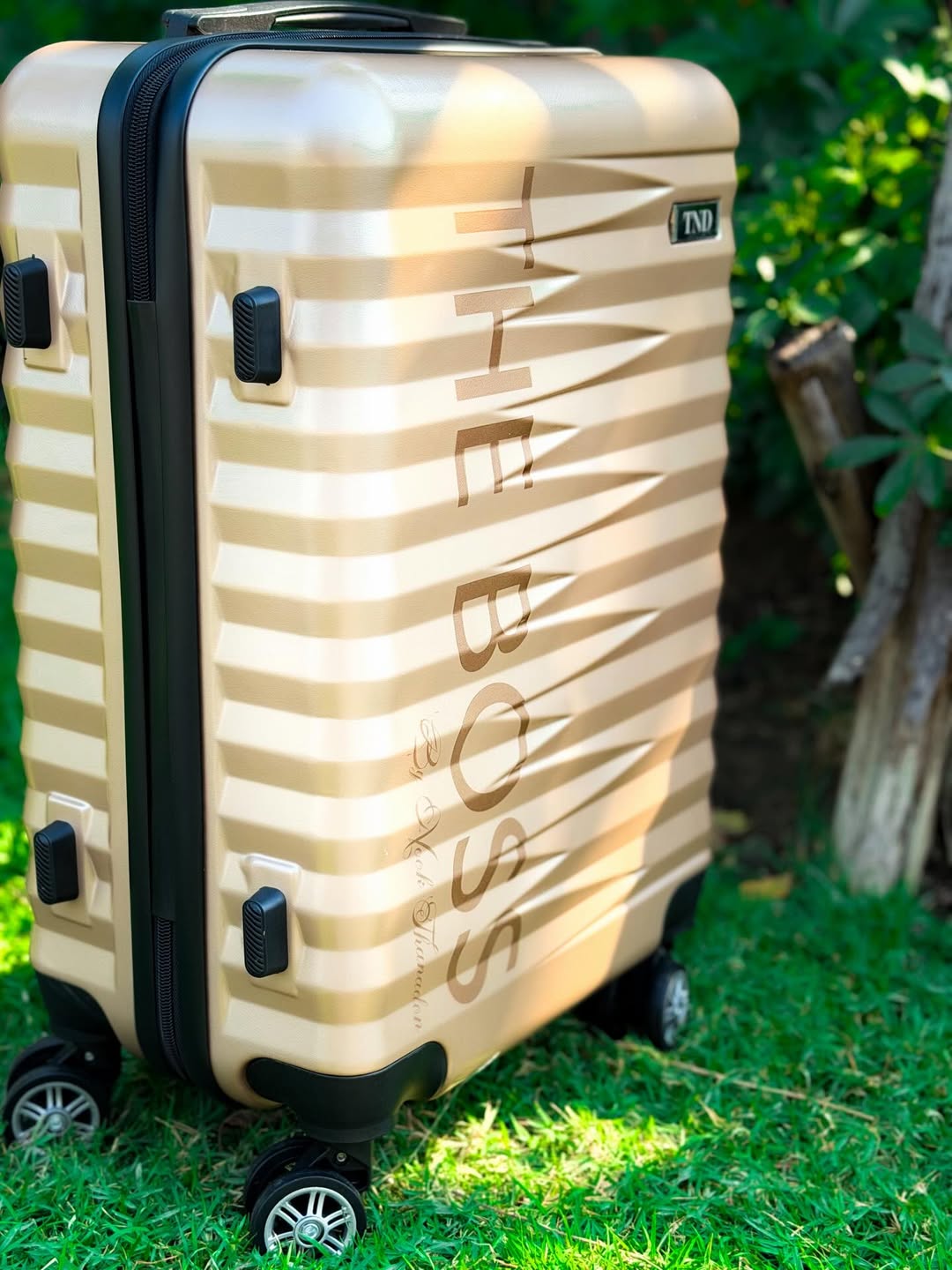 นุ๊ก - ธนดล ศิริแวว