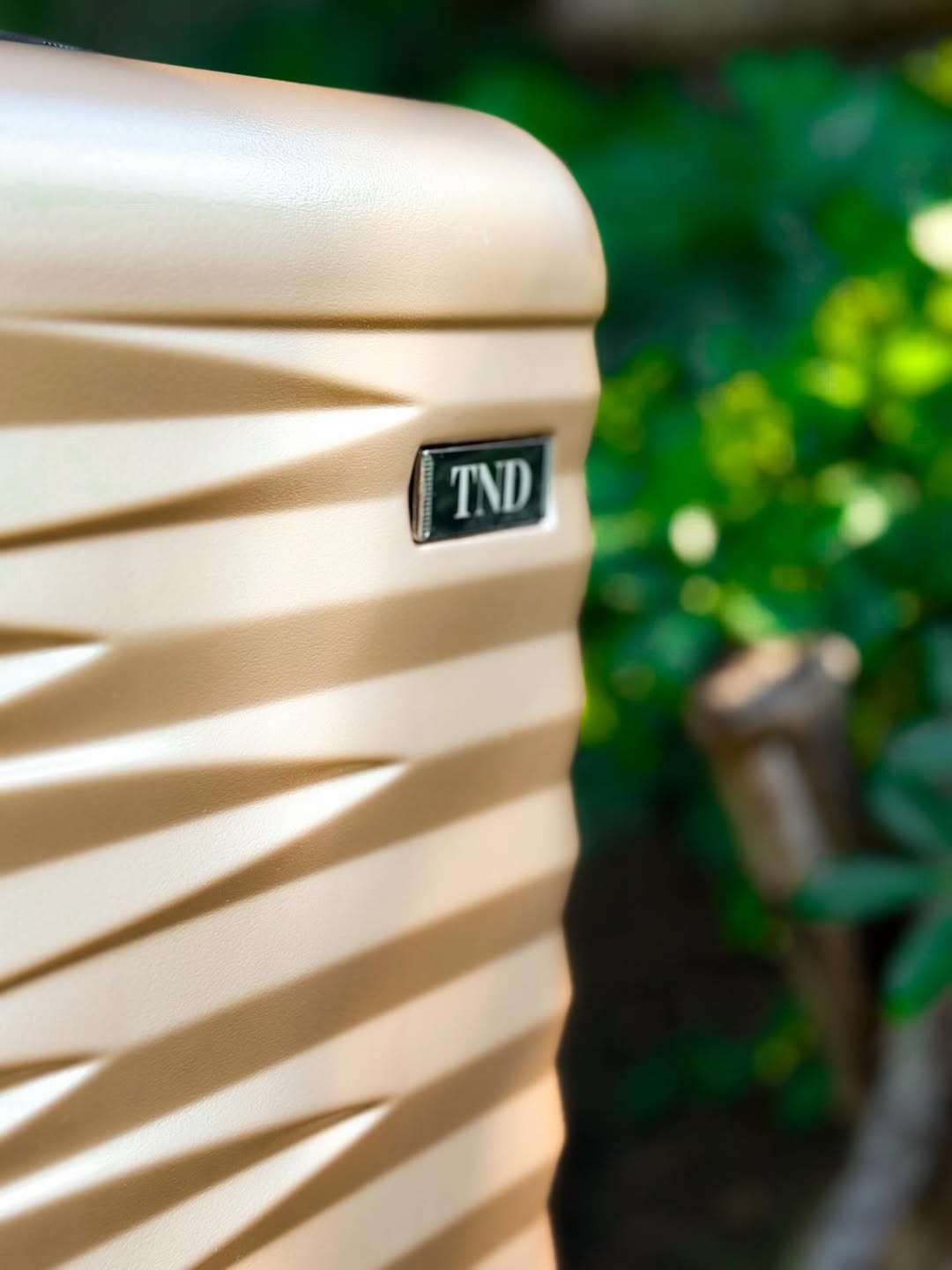 นุ๊ก - ธนดล ศิริแวว