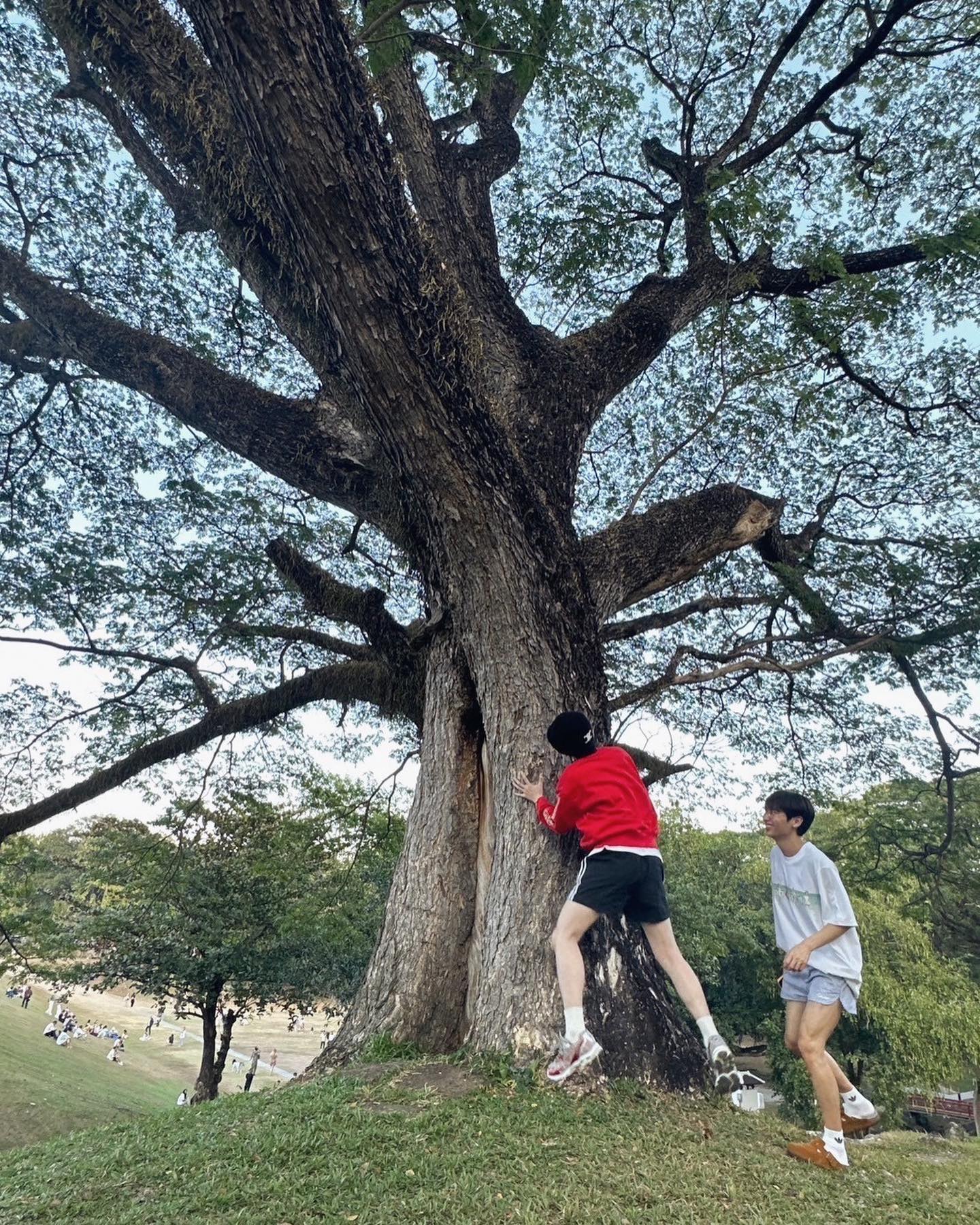 ออฟ - จุมพล อดุลกิตติพร