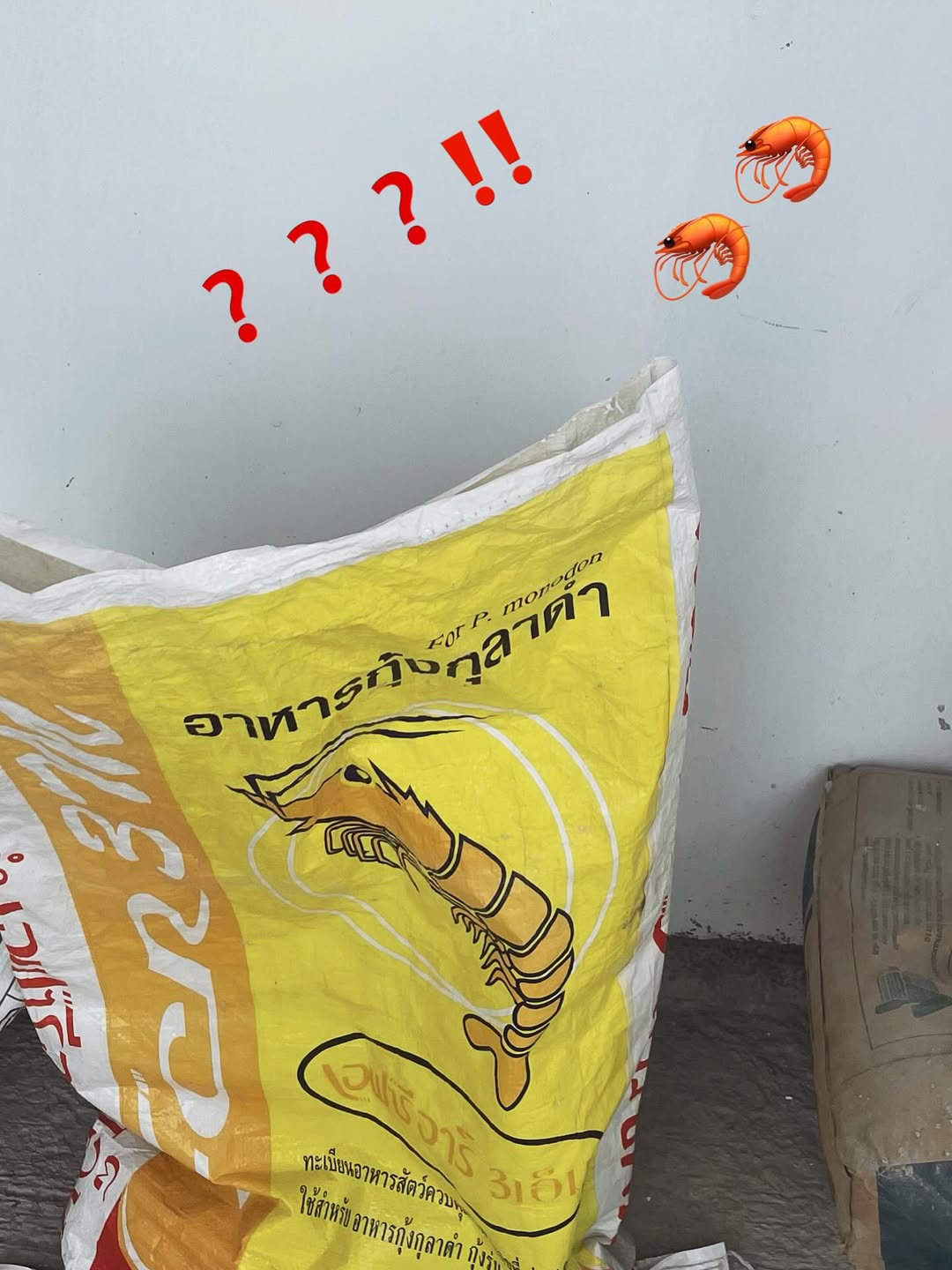 ออฟ - จุมพล อดุลกิตติพร