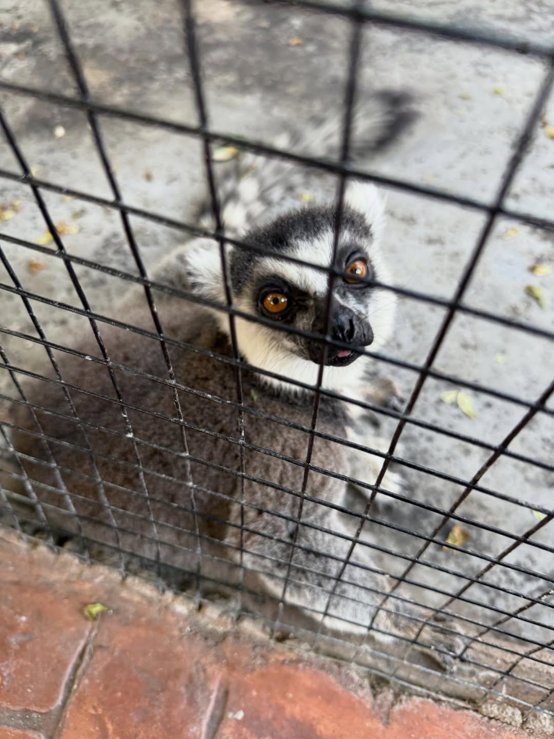 ออฟ - จุมพล อดุลกิตติพร