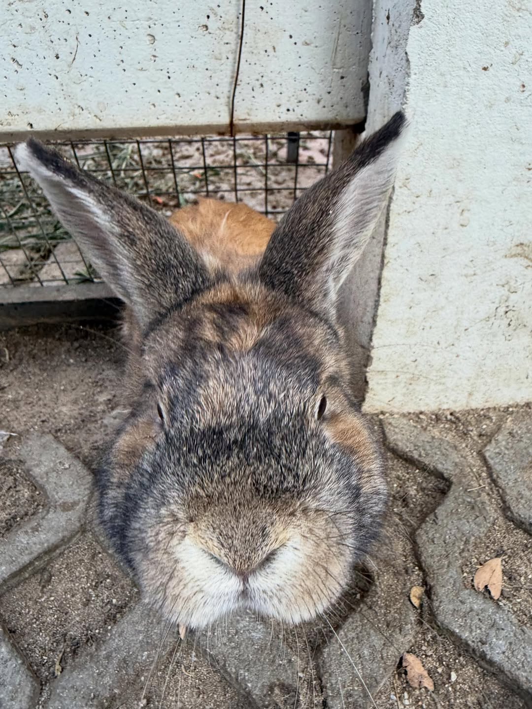 ออฟ - จุมพล อดุลกิตติพร