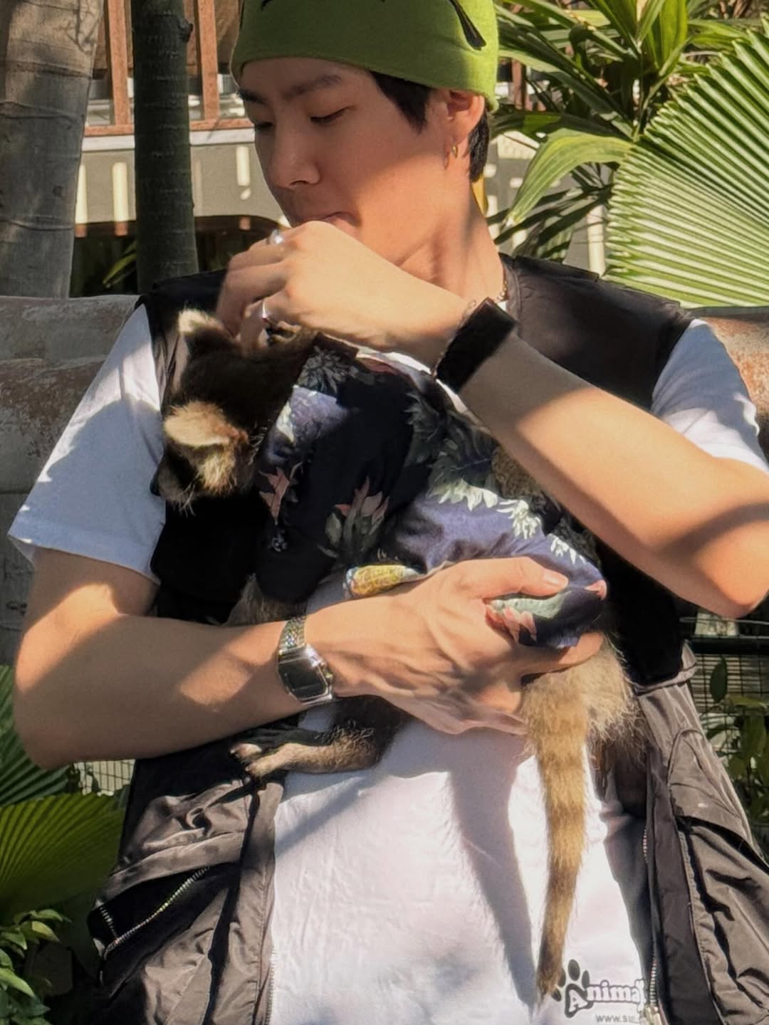 ออฟ - จุมพล อดุลกิตติพร