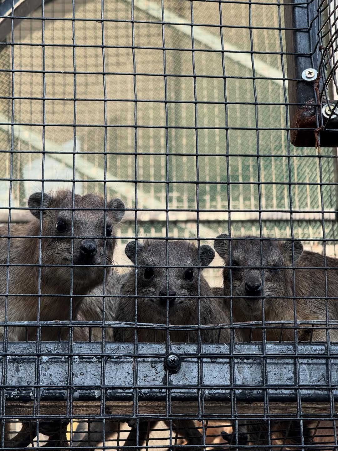 ออฟ - จุมพล อดุลกิตติพร