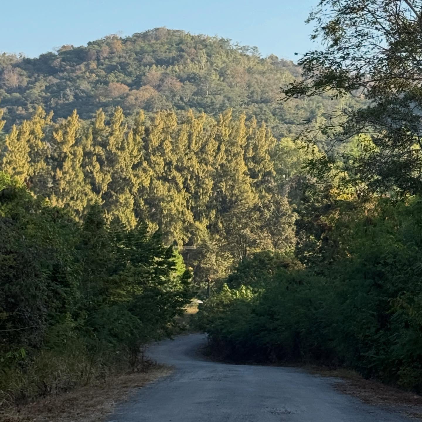 ออฟ - จุมพล อดุลกิตติพร