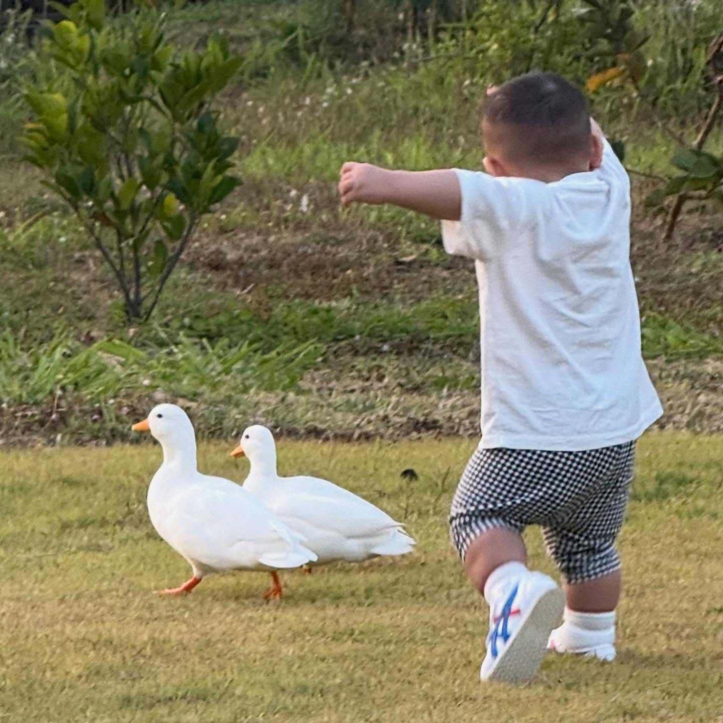 ออฟ - จุมพล อดุลกิตติพร