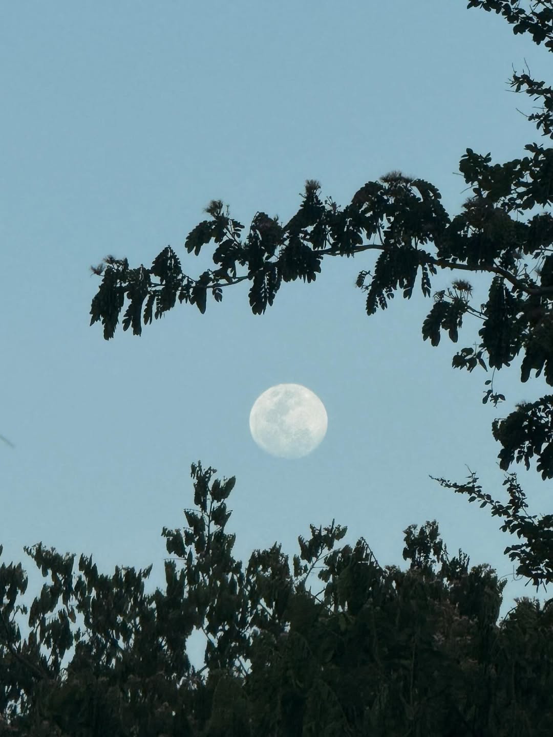 ออฟ - จุมพล อดุลกิตติพร