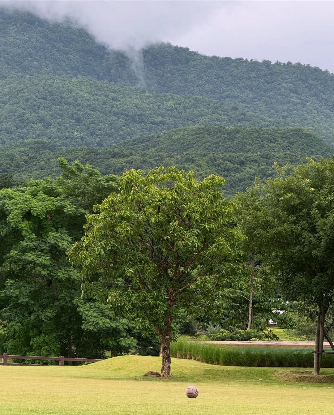 กระทิง - ขุนณรงค์ ประเทศรัตน์