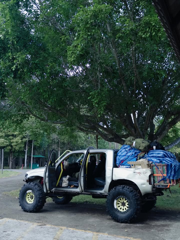 กระทิง - ขุนณรงค์ ประเทศรัตน์